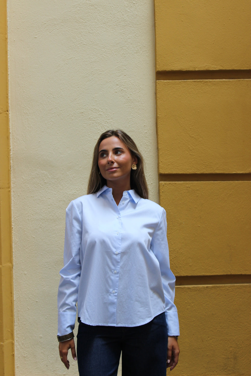 CAMISA MINIMAL ECLAT