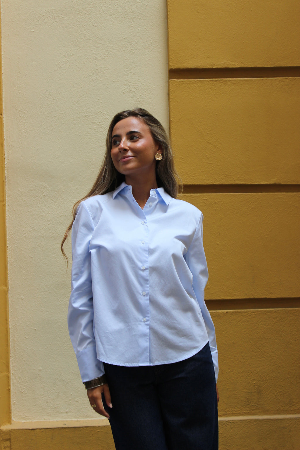 CAMISA MINIMAL ECLAT
