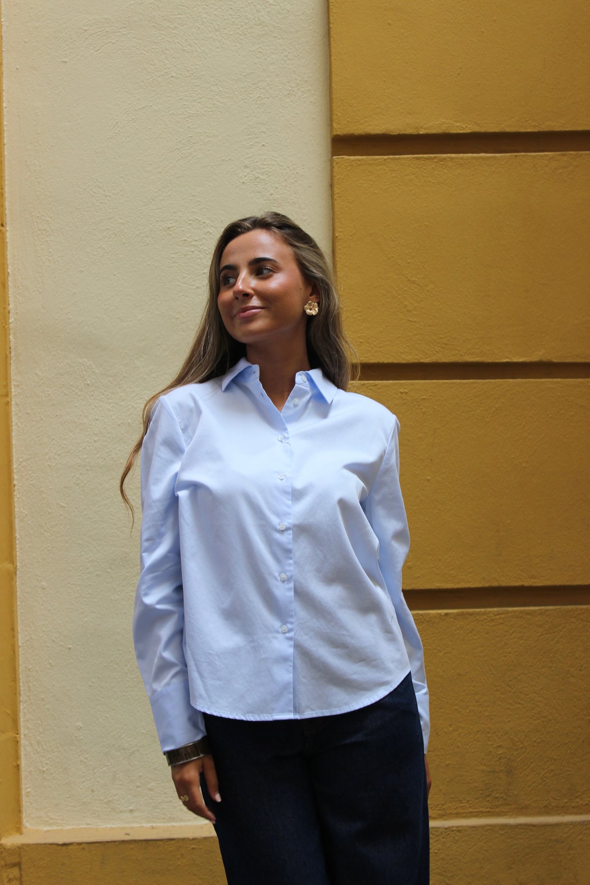 CAMISA MINIMAL ECLAT